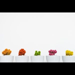 Bundle for Angela  (iceq13)